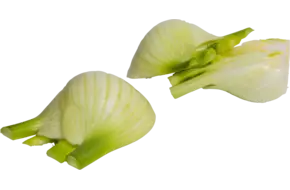 Venkel gehalveerd bak 1kg